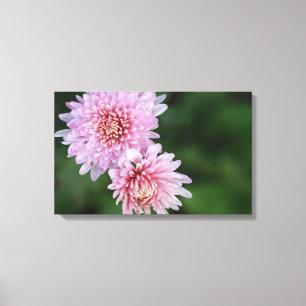 Magnifiques fleurs roses sur toile tendue
