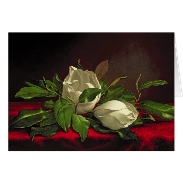 Magnolia (Devant horizontal)