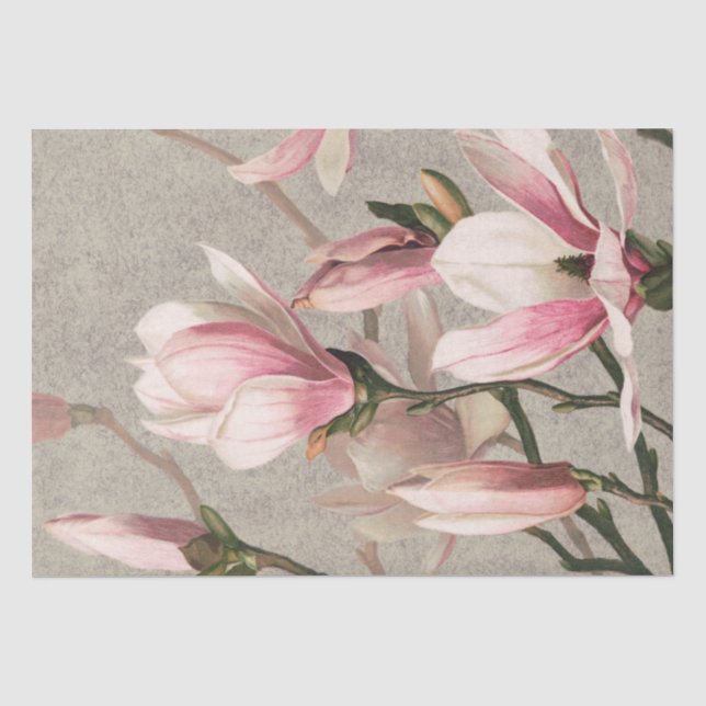 Magnolia (1886) tissue paper (Front)