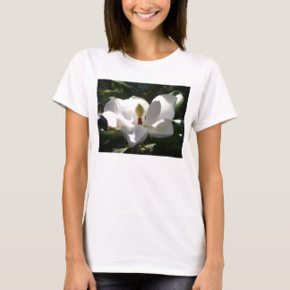 magnolia 3 t shirt ladies womans magnolias flowers