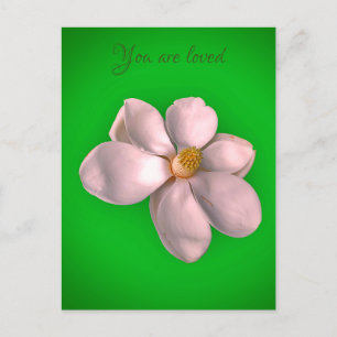 Magnolia art    postcard