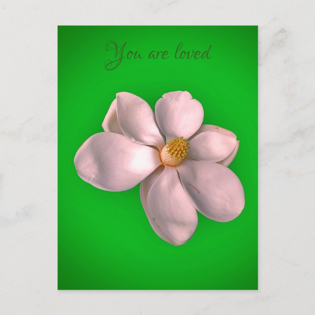 Magnolia art    postcard (Front)