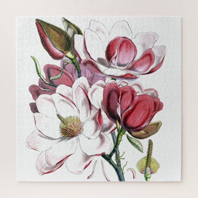 Magnolia Asian Flower Vintage Old Illustration Jigsaw Puzzle (Vertical)