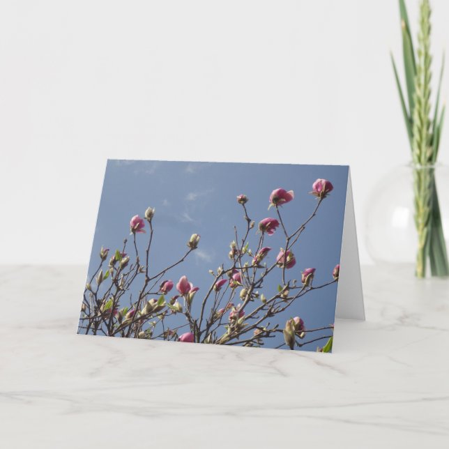 Magnolia Blank Greeting Card (Front)