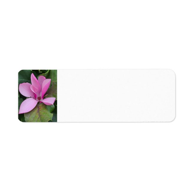 Magnolia Bloom Adresse de retour (Devant)