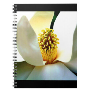 Magnolia Bloom Macro Notebook