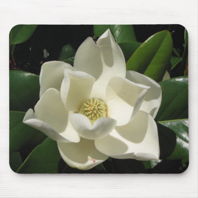 Magnolia Bloom Mouse Pad (Front)