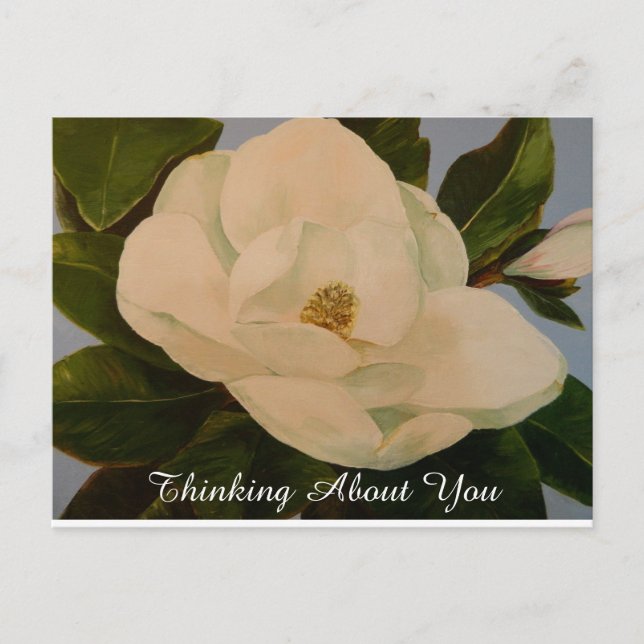 Magnolia Bloom Thinking About You Postcard (Front)