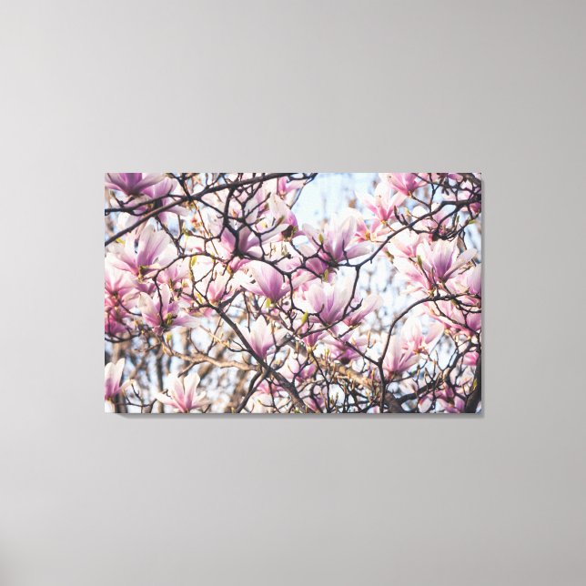 Magnolia blooming tree canvas print (Front)