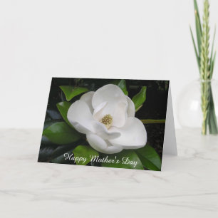 Magnolia Blossom Greeting Card