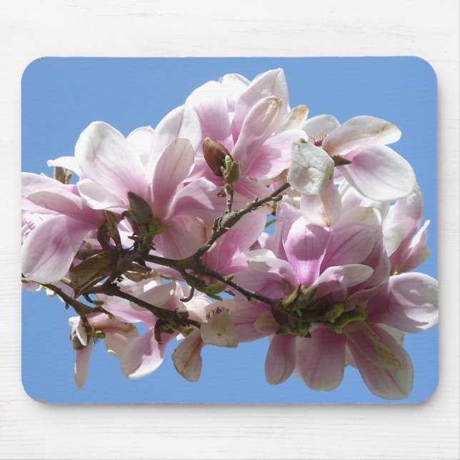 Magnolia Blossom Mouse Pad (Front)