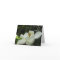 Magnolia Blossom Note Card