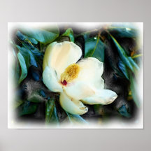 Magnolia Blossom Oil Painting Digital Art