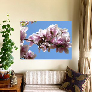 Magnolia Blossom Poster