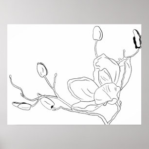 Magnolia Botanical Line Art Poster