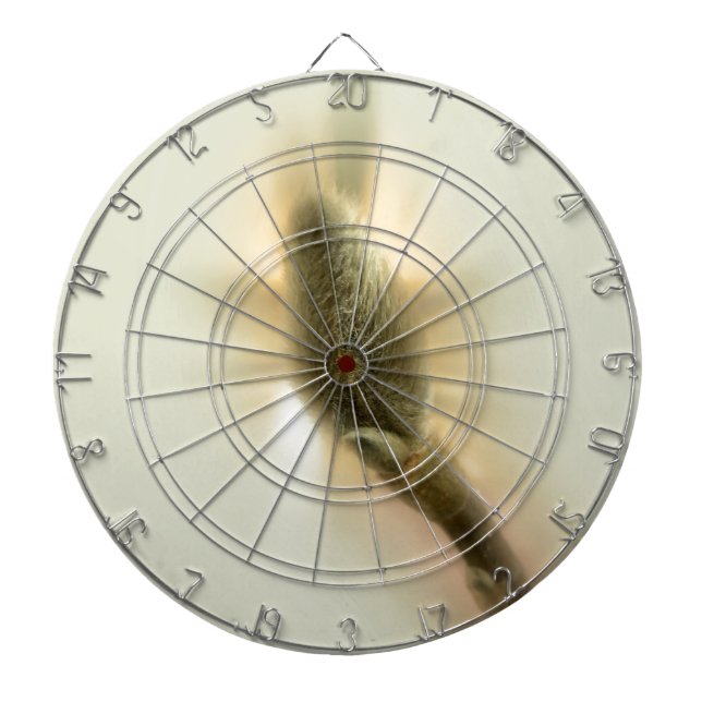 magnolia bud dartboard (Front)