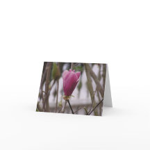 Magnolia card