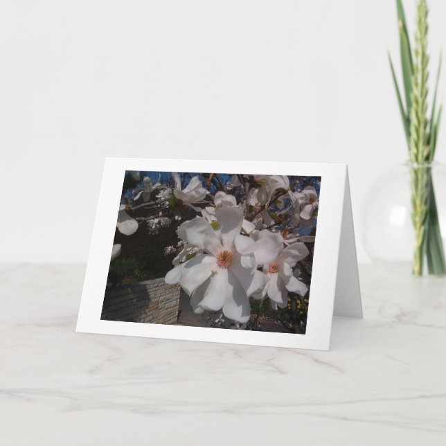 Magnolia Card (Front)