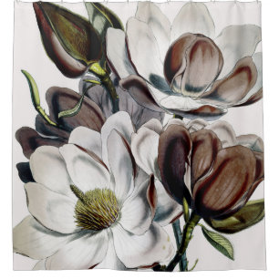 Magnolia Chocolate Dream