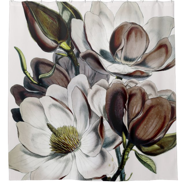 Magnolia Chocolate Dream (Front)