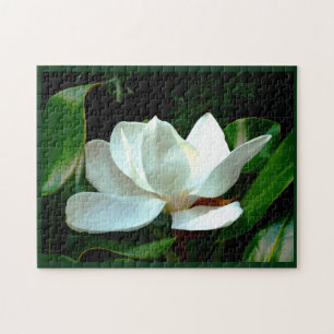 Magnolia Closeup Jigsaw Puzzle