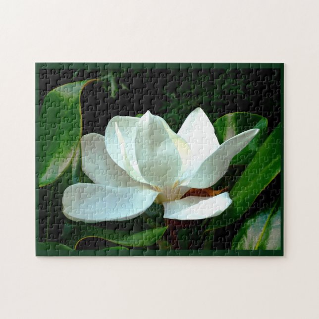 Magnolia Closeup Jigsaw Puzzle (Horizontal)