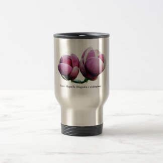 Magnolia de soucoupe - tasses