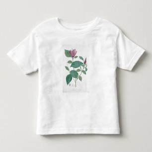 Magnolia discolour, engraved by Legrand (colour Toddler T-shirt