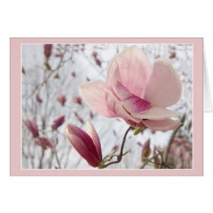 Magnolia En Rose