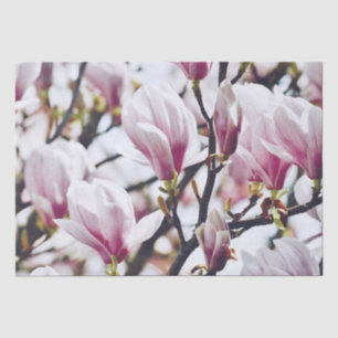 Magnolia Floral Botanical Blossom Vintage Antique Tissue Paper