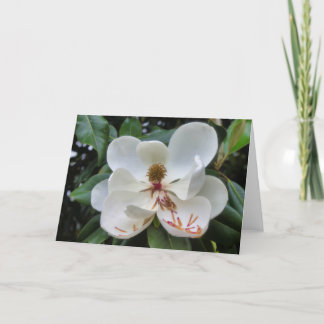 Magnolia flower blank card