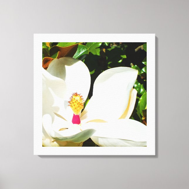 Magnolia flower canvas print (Front)