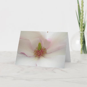 Magnolia Flower Card White Blossom Card