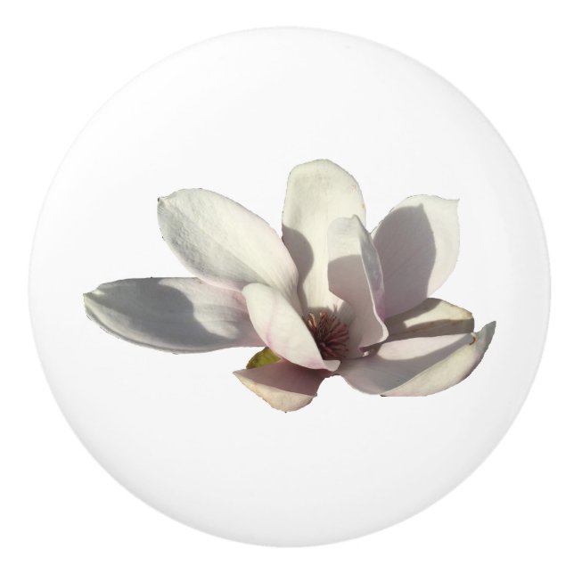 Magnolia Flower Ceramic Knob (Front)