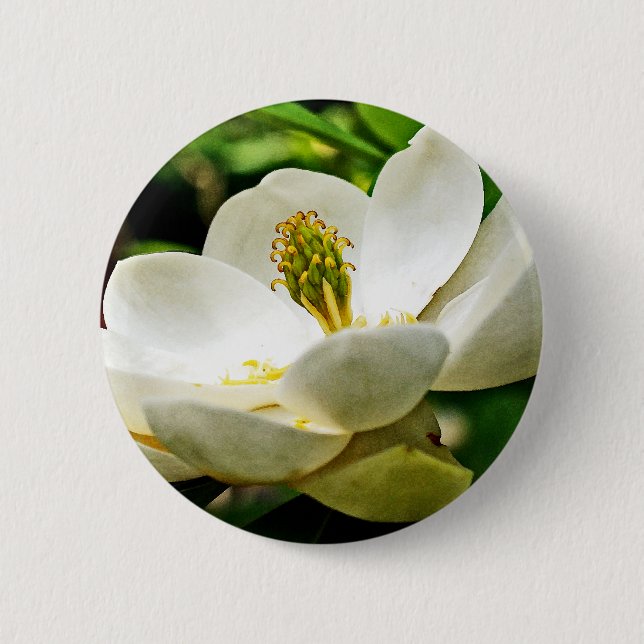 Magnolia Flower Close Up 2 Inch Round Button (Front)