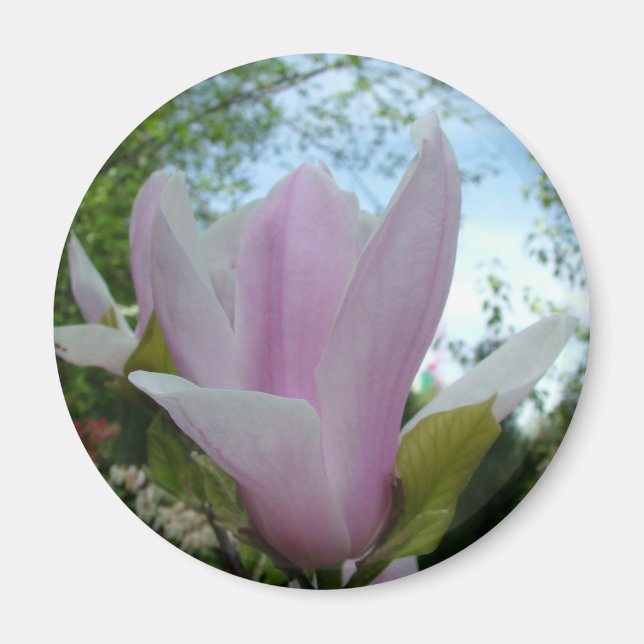 magnolia flower magnet (Front)