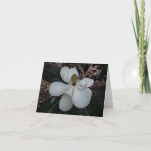 Magnolia Flower Photo Folded Note Card