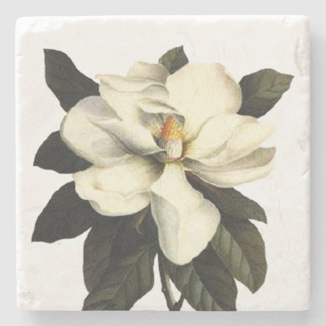 Magnolia Flower Square Stone Coaster (Front)