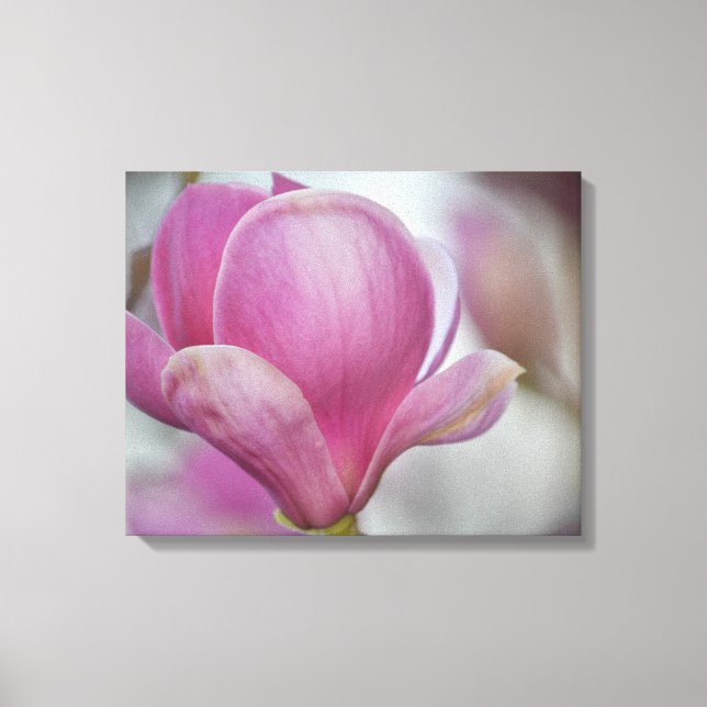 Magnolia Flower Tree Canvas Print (Front)