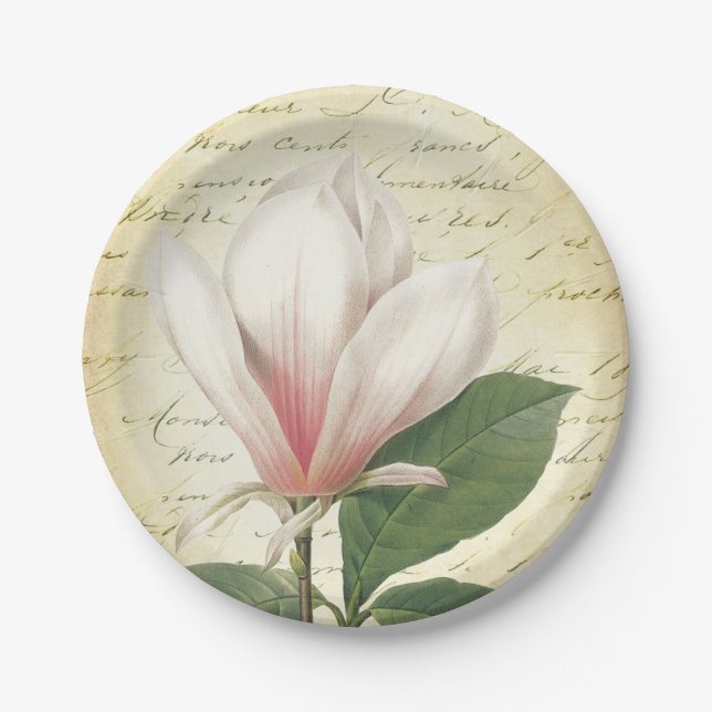 Magnolia Flower Vintage Botanical Paper Plate (Front)