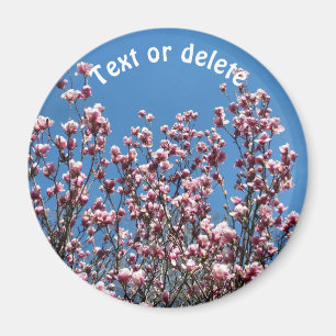 Magnolia Flowers Blue Sky Personalized Magnet