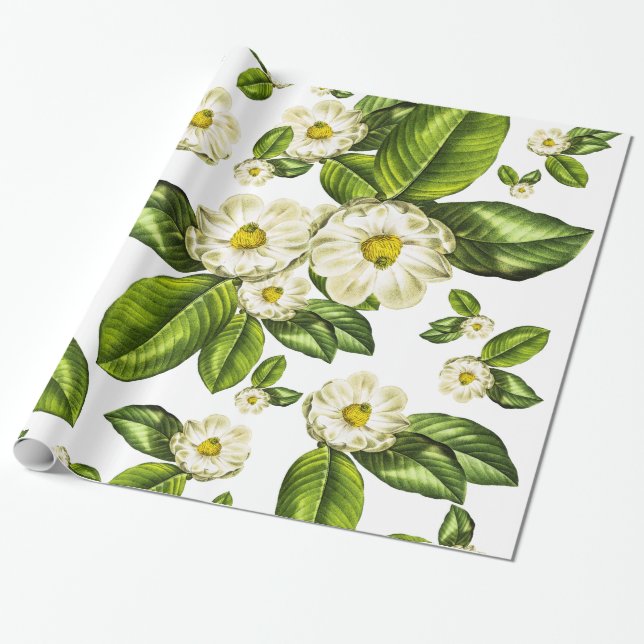 Magnolia Flowers Botanical Wrapping Paper (Unrolled)