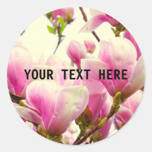 Magnolia Flowers Floral Botanical Blossom Chic Classic Round Sticker