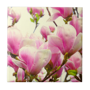 Magnolia Flowers Floral Botanical Blossom  Tile
