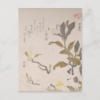 Magnolia Flowers - Kubo Shunman (Japanese) Postcard