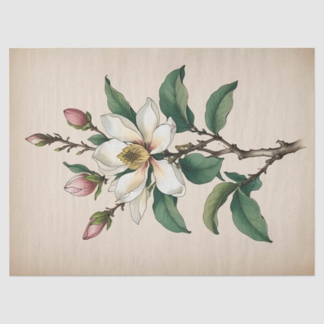 Magnolia Flowers Tissue Paper (Front)