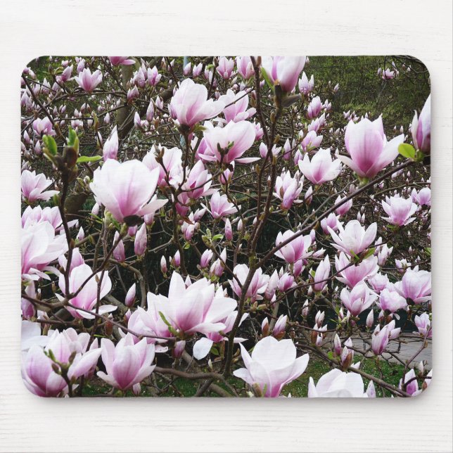 Magnolia Garden Mouse Pad (Front)