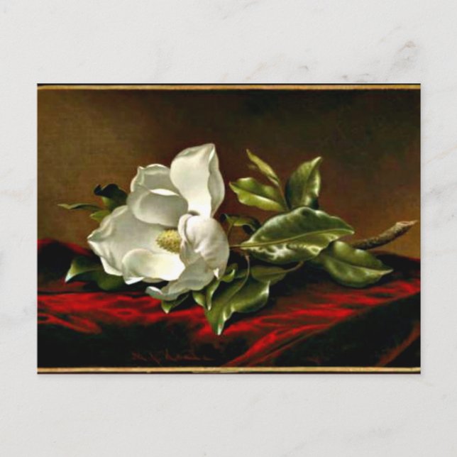 Magnolia Grandiflora artwork Postcard (Front)