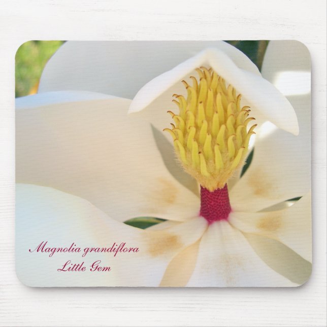 Magnolia grandiflora 'Little Gem' Mouse Pad (Front)
