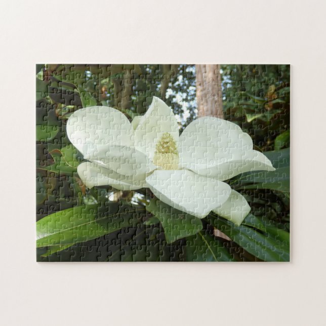 Magnolia Grandiflora Photo Puzzle with Gift Box (Horizontal)